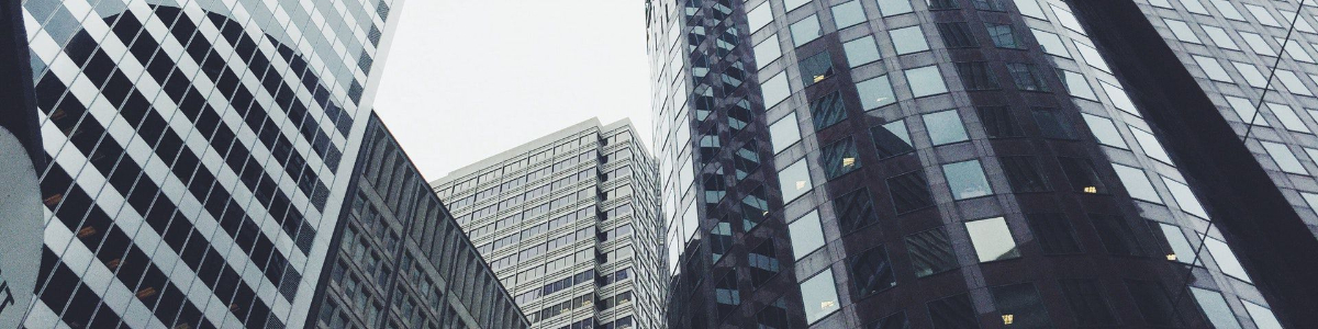 国外公司股东信息怎么查？了解多国股东查询方法与案例